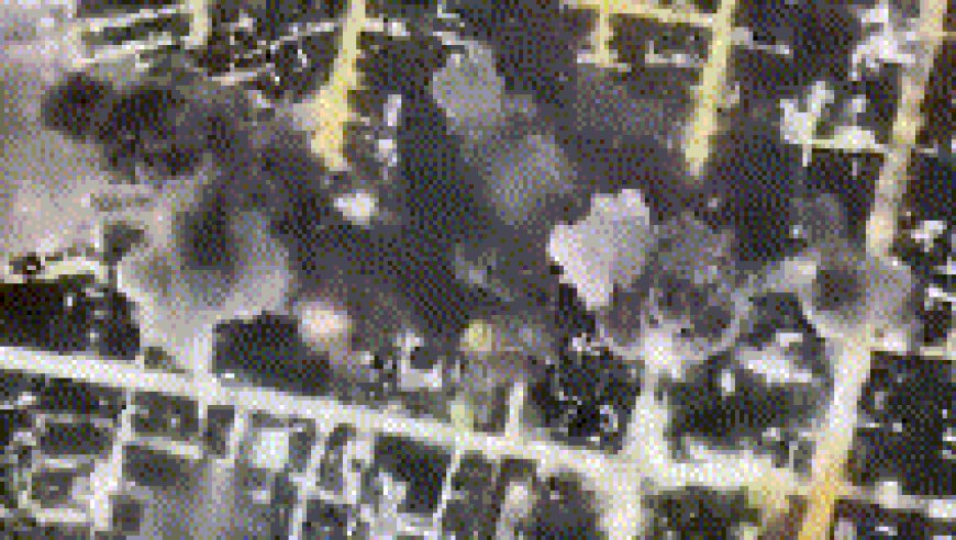 La escalada bélica en Medio Oriente: dos semanas de bombardeos intensivos y sin tregua