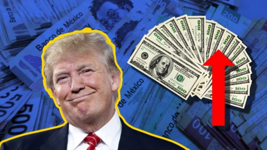 El dólar recupera fuerza frente al peso en un sábado de datos económicos mixtos