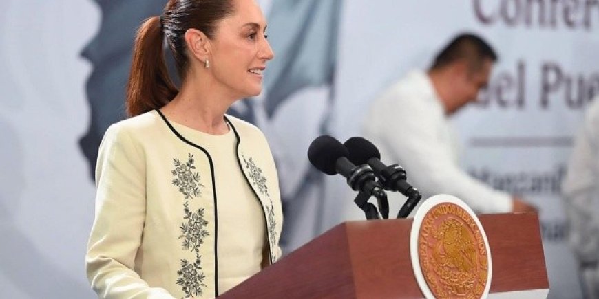 El PVEM respalda la reforma electoral de Sheinbaum en busca de austeridad y eficiencia