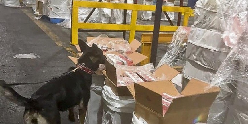 Marina asegura cargamento de cigarrillos ilícitos valuado en millones en el AICM