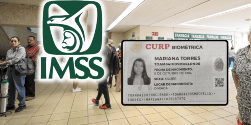 La CURP biométrica inicia su implementación en el IMSS como documento de identidad válido