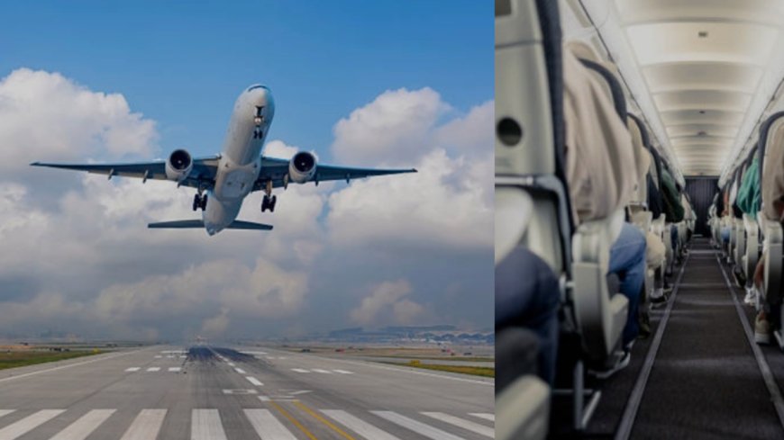 La crisis del TSA: renuncias masivas y caos inminente en aeropuertos de EE.UU.