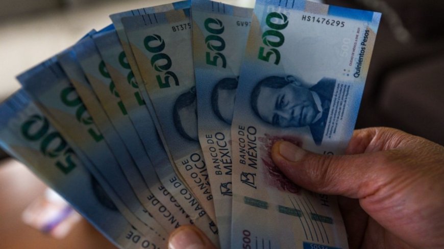 Alemania busca técnicos en enfermería mexicanos con salario competitivo y formación lingüística