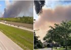 Emergencia en Florida: un incendio forestal amenaza comunidades y ecosistemas