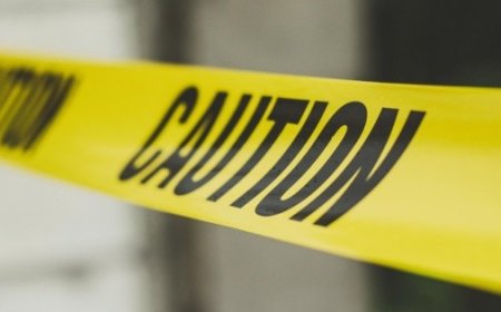 La baja histórica de homicidios dolosos en México: ¿un cambio significativo?