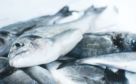 El escándalo del pescado congelado: agua en lugar de alimento