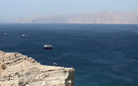 Irán y el Estrecho de Ormuz: Nuevas Dinámicas de Control Marítimo