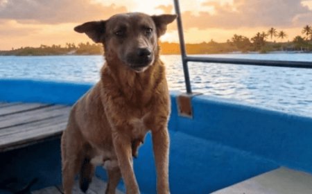 La trágica muerte de Beni: un llamado a la conciencia social