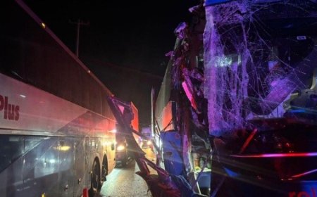 Accidentes viales en Jalisco: una crisis que requiere atención urgente