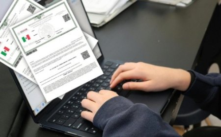 Cómo obtener tu CURP de manera rápida y segura en línea