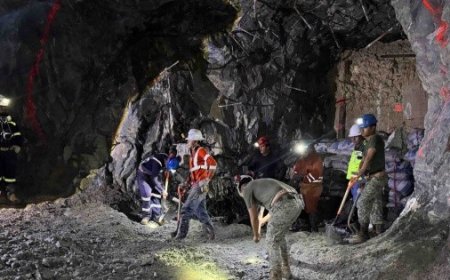 Esperanza renovada: rescatan a segundo minero en Sinaloa tras días de incertidumbre