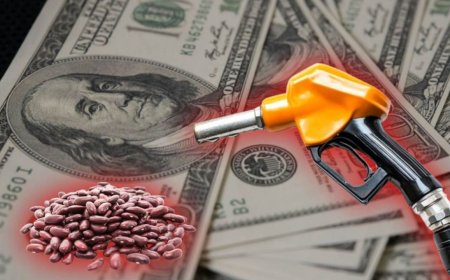 Impacto de la Inflación en el Costo de Vida: Un Análisis Actual