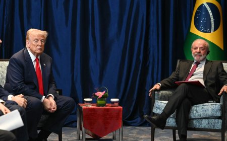 Cooperación internacional: un paso firme contra el crimen organizado