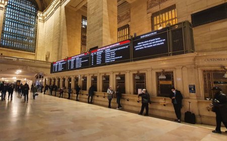 Violencia en espacios públicos: el caso de Grand Central y sus implicaciones