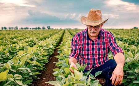 Cuba da un paso decisivo hacia la apertura económica agrícola