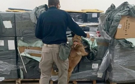 El impacto de los cigarros apócrifos en la economía mexicana