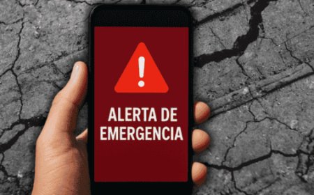 La Importancia del Primer Simulacro Nacional en México