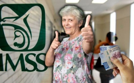 Guía completa para solicitar préstamos del IMSS para pensionados