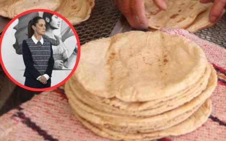 El aumento del precio de la tortilla: un reto para la economía mexicana