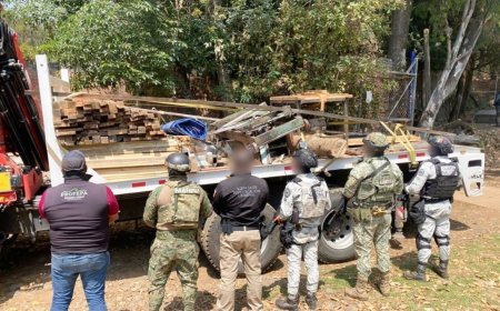 Desmantelamiento de aserradero ilegal en Huitzilac: un paso hacia la conservación