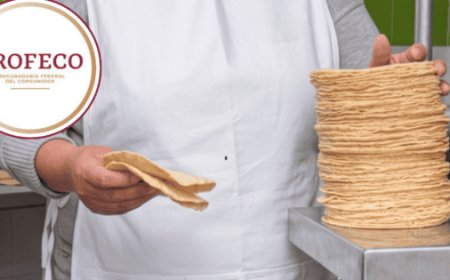 La tortilla en México: Estabilidad garantizada por las autoridades