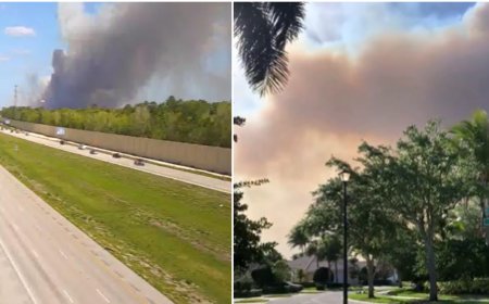 Emergencia en Florida: un incendio forestal amenaza comunidades y ecosistemas