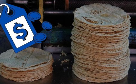Análisis del precio de la tortilla en México: ¿realmente hay motivos para el aumento?