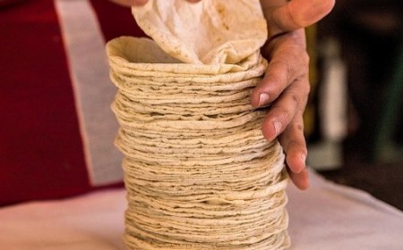 La tortilla: un alimento esencial y su impacto en la salud
