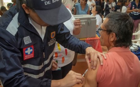 Alerta sanitaria por fiebre amarilla: un llamado a la acción urgente