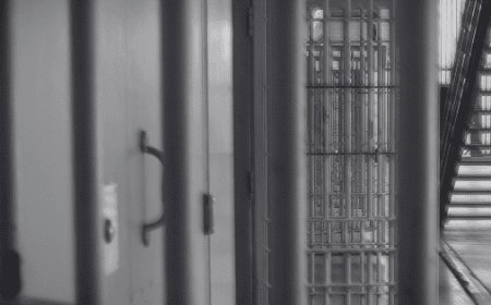 La lucha contra el feminicidio: un caso emblemático en Sinaloa