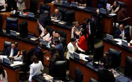 La Nueva Ley de Cine en México: Un Impulso Necesario para la Industria