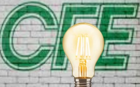La CFE impulsa su transformación hacia energías renovables