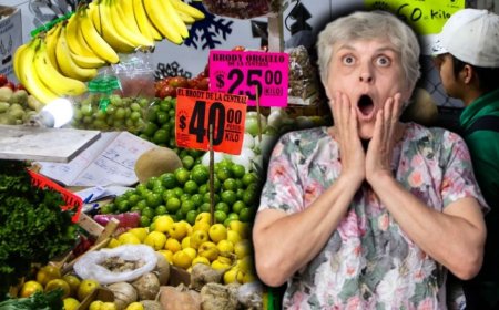 La canasta básica: Un reflejo de la economía y el bienestar social en México