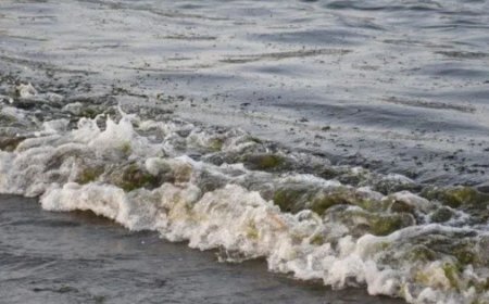 El impacto de la fuga de Pemex en el Golfo de México