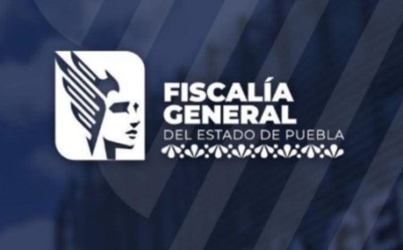 Investigaciones en Puebla: Un llamado a la protección infantil