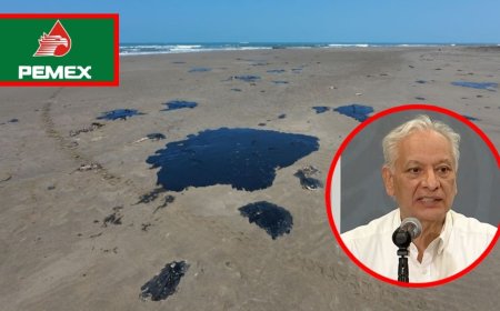 Pemex y su respuesta ante el desastre ambiental en el Golfo de México