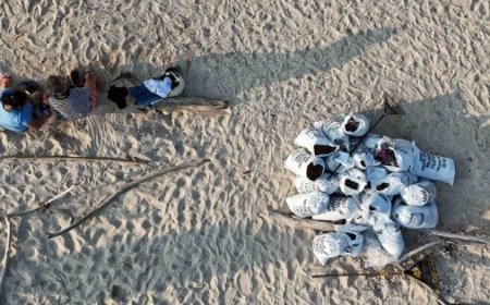 Crisis ambiental en el Golfo de México: la responsabilidad de Pemex