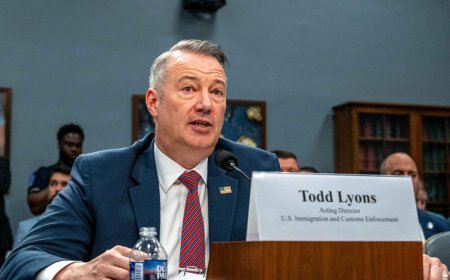La renuncia de Todd Lyons y el legado de su gestión en ICE
