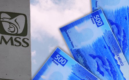 IMSS 2026: Claves para asegurar tu pensión sin sorpresas