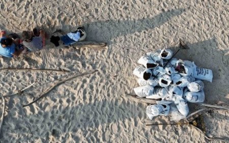 Impacto ambiental y responsabilidad: el caso de Pemex en el Golfo de México