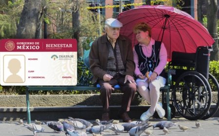 Acceso a la Credencial INAPAM: Un Paso Hacia la Inclusión de Adultos Mayores