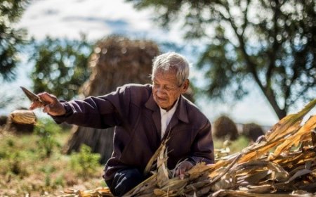 Impacto de la Guerra en Medio Oriente en la Economía Mexicana