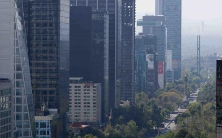 Impacto del Programa Hoy No Circula en la Calidad del Aire de CDMX