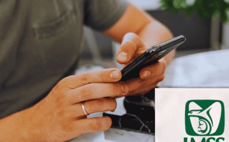 Cómo obtener la constancia de vigencia del IMSS en minutos