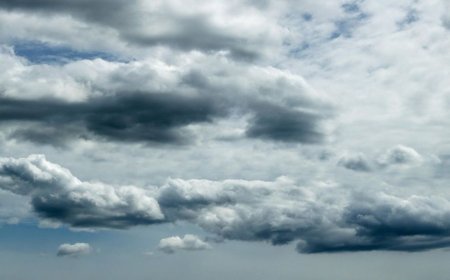 Pronóstico del clima en Reynosa para este lunes 20 de abril con ambiente templado y cielo nublado