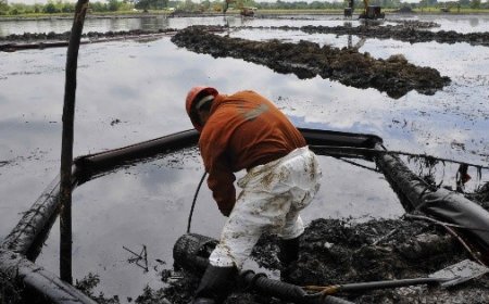 Oceana califica de "insuficiente" gestión de Pemex por derrame de hidrocarburo en México