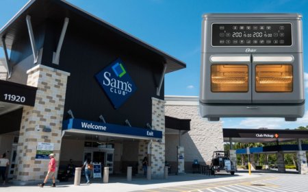 Sam’s Club lanza a precio de regalo Freidora de aire Oster Flex con descuento y 15 MSI: con canasta gris y diseño modular