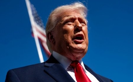 Trump firma orden para impulsar terapias con psicodélicos en salud mental