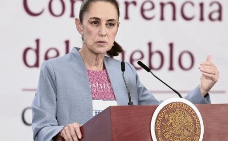 Gobierno investigará si el operativo con agentes extranjeros violó la ley