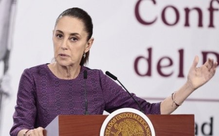 Sheinbaum dice quién podría reemplazar a Esthela Damián, su consejera jurídica